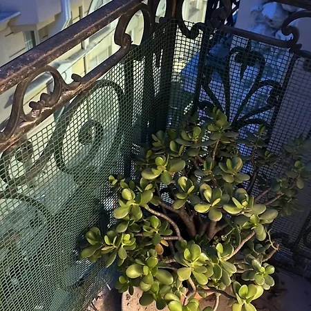 La Victoire * Monte Carlo