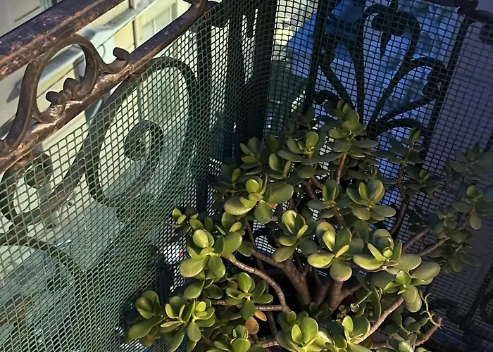 La Victoire * מונטה קרלו